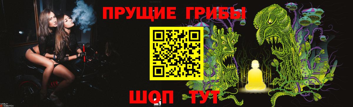 Псилоцибиновые грибы мухоморы  Вход с VPN  Зима 